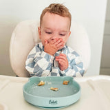 Wild Bites Bear Plate