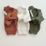Chunky Knit Sweater | Rust