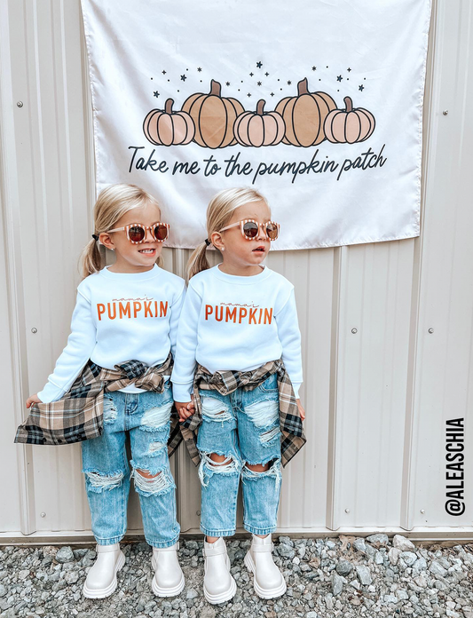 Take Me To The Pumpkin Patch Banner - Kids Fall Decor & Prop